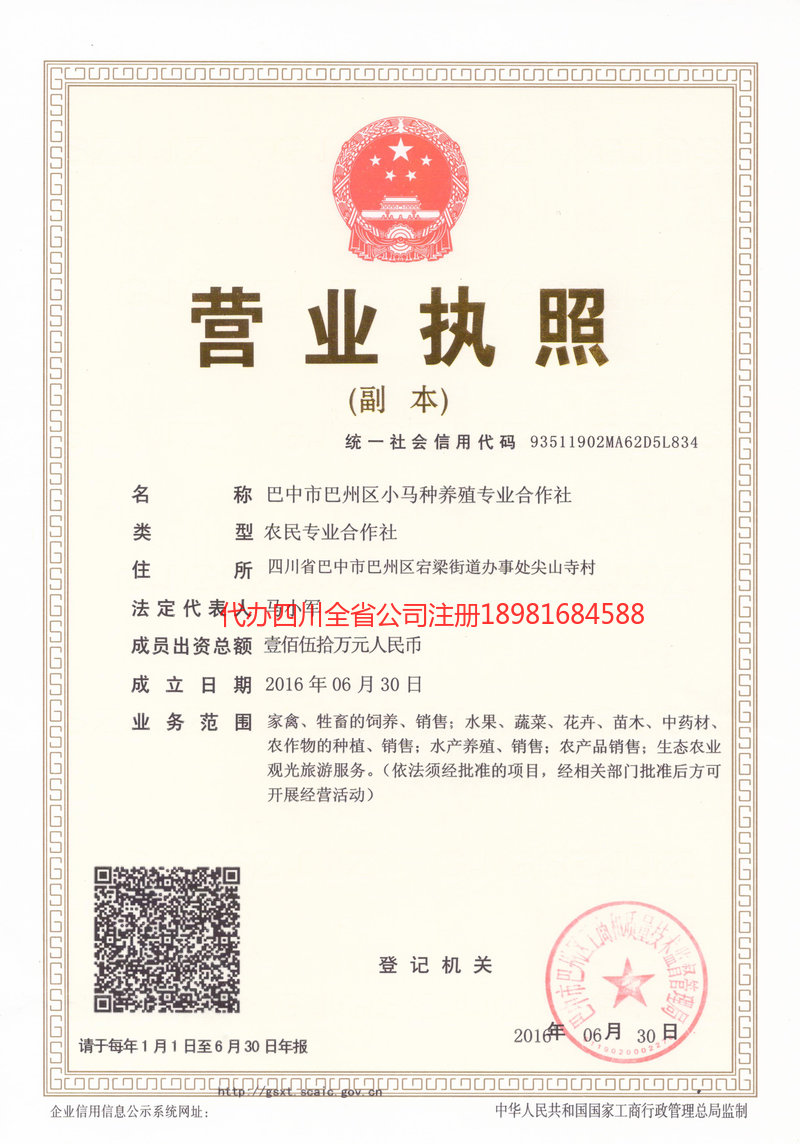 孝义孝义小马种养殖专业合作社